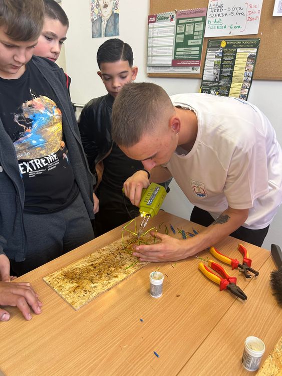 Pályaorientációs nap Vésztő